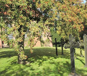 Friedhof